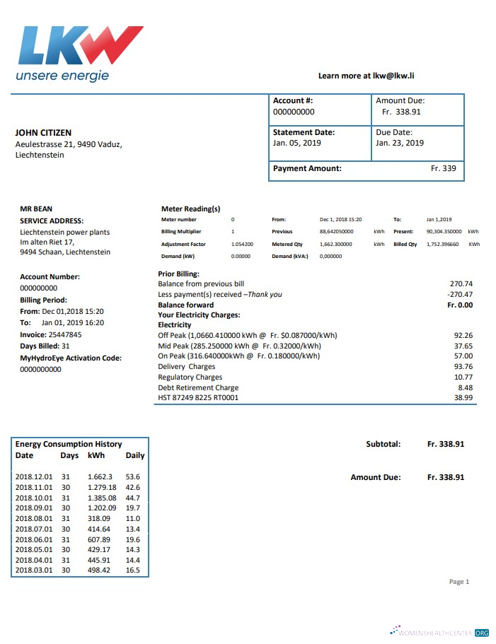 download Liechtenstein Ische Kraftwerke (LKW) electricity utility bill template in Word and PDF format PDF template